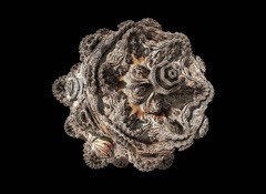 Mandelbulb069a